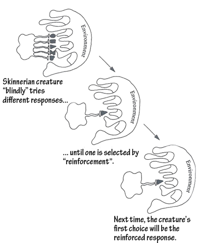 The Skinnerian creature